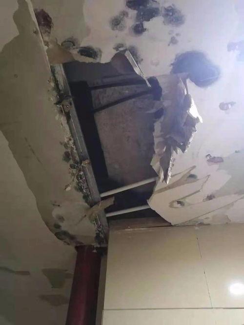 桥头菇溪事件最新爆料,最新爆料揭露惊人内幕”