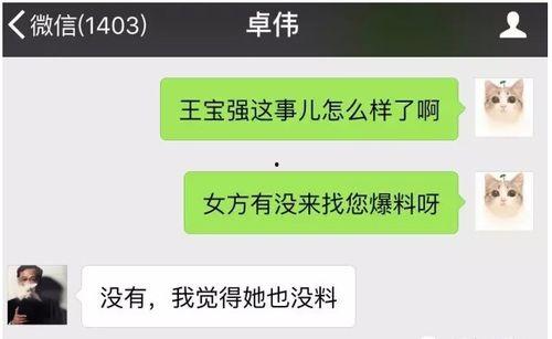 欧洲最新爆料视频,视频揭露惊人内幕